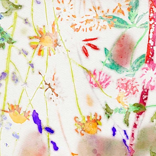 Watercolor wildflowers in close-up detail