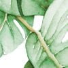 Close up of Bath Towels with Palm leaves print