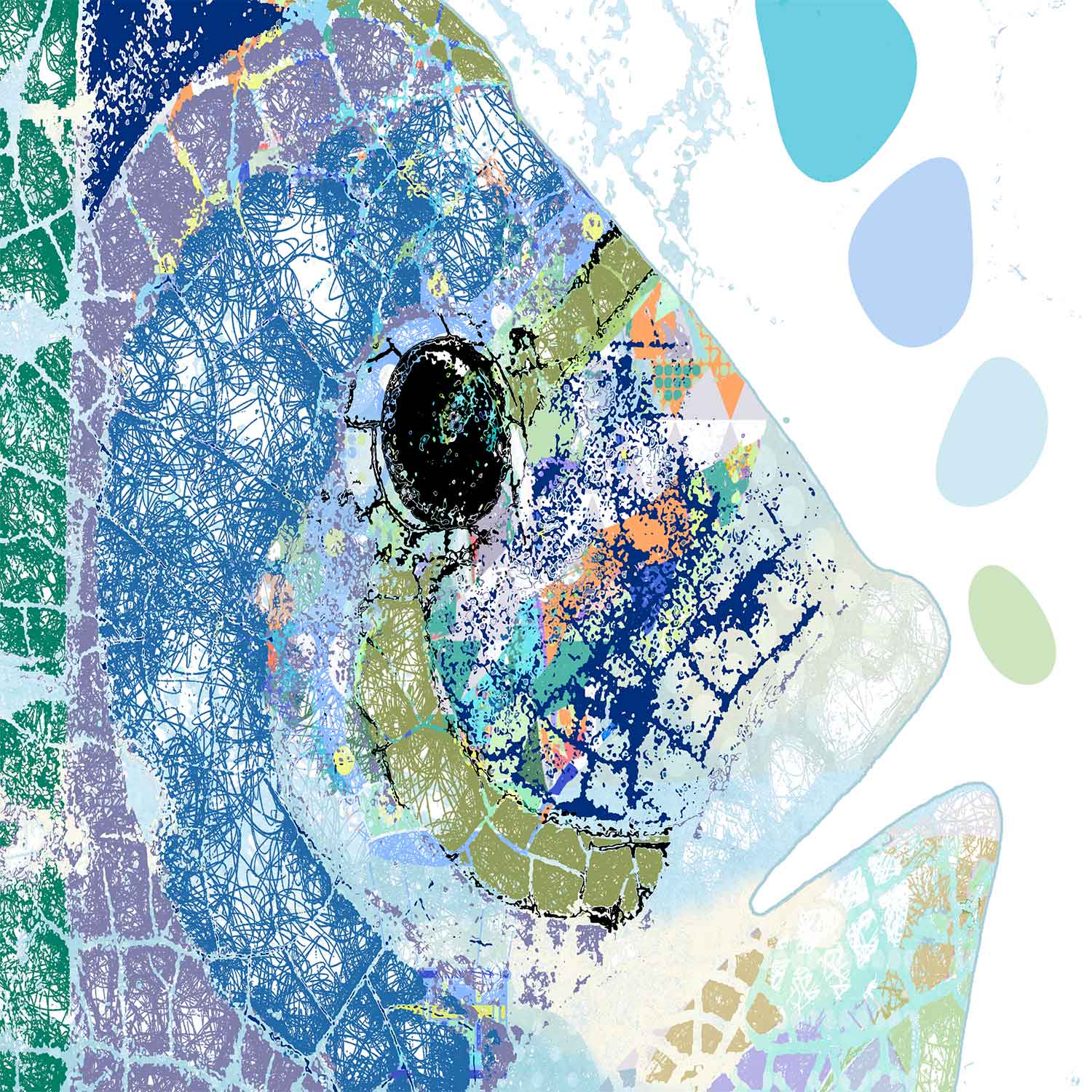 detail of blue fish shower curtain print